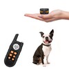 Tiniest Dog Shock Collar, Lightest Dog Training Collar with Remote
