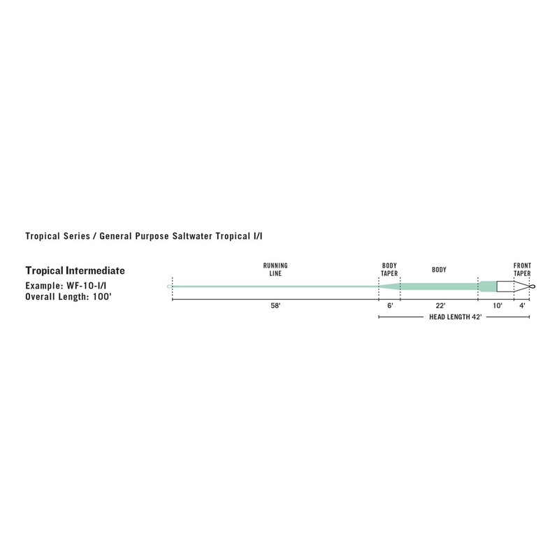 Rio WF12I/I Línea de Mosca Saltwater Fly Line INT. Verde