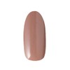 PRE GEL Color Gel, Color EX Smoky Beige, R880, 0.1