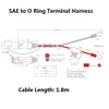 SPARKING 6FT Ring Terminal Cable - SAE to O Ring