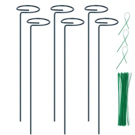 6 Pack Plant Support Stakes, 16 inch Plant Rings with 50 Pcs Plant Twist Ties, Single Stem Plant Support Stakes for Plant Flowers, Amaryllis, Rose, Orchid, Peony, Lily, Tomatoes, Vegetable