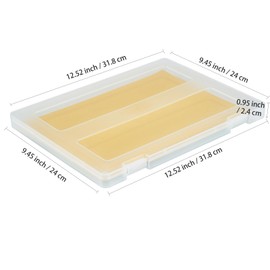 Mickiewicz 4 Pack A4 Paper Storage Box, 8.5 x 11 Plastic Portable Project Case for US letter Size, Plastic Thick Scrapbook Storage Box for Craft Art Supplies, External Size 12.52 x 9.45 x 0.94 inches