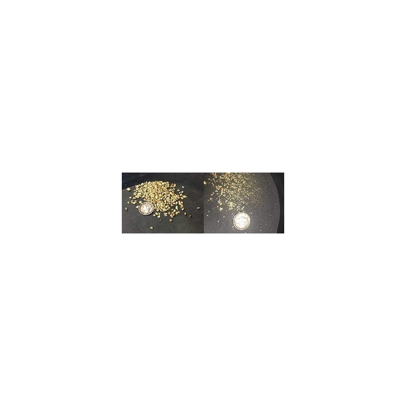 Complete Gold Panning Kit with 4 LB Gold Paydirt, 10"