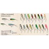 Rebel Lures P6077 Pop-R Fishing Lure - Foxy Momma, 2
