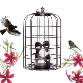 Nature's Rhythm Outdoor Hanging Bird Feeder Cage PC Tube Squirrel Proof Wild Bird Feeder with Large Metal Seed Guard Deterrent Green