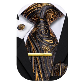 Hi-Tie Ties for Men Neck Tie Pocket Square Set Wedding Formal Cufflinks Tie Clip 4PC Formal Suit Tie Set,Black Gold Paisley