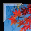Lineco 1.25" Slimline Polypropylene Mounting Corners. Pack of 72. Self