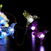 WSgift Hummingbird Decorative String Lights, 13.85 Ft 40 Cool White