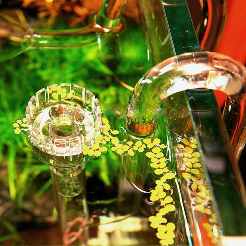 Clear Aquariums Skimmer with Pipe Outflows Water Plant Filter Cleaner