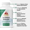 Ascent Nutrition Ultimate Shilajit | Natural Source of Fulvic &