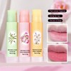 Lip Balm Set 3PCS Lip Balm Gift Set Tea, Chamomile,