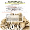 Hakuya Japanese Mitake Powder, Additive-free, Pesticide-free, Dried, Maitake Powder, Maitake
