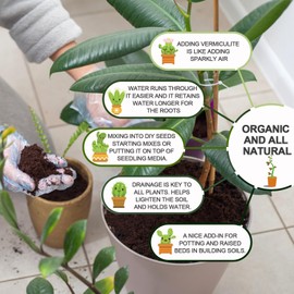 10QT Horticultural Vermiculite Bulk, Organic Vermiculite for Plants, Course Grade Vermiculite for Gardening, for houseplants, for Mushrooms, to Maintain Soil Moisture and Plant Growth(5-8mm)