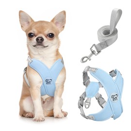 Pawaboo Small Dog Harness and Leash Set, Puppy Harness X-Frame No Pull No Choke, Dog Vest Harness Adjustable for Small Medium Sized Dogs, Soft Breathable Pet Harness for Walking Outing (S, Blue)