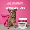 Suplemento Vitamínico Polvo Perros/gatos Vitamin Pets 2 Pack