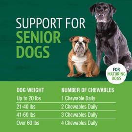 Petnc Senior Multi Chewables (60 Count), Daily Dog Multivitamin & Multimineral Support, Includes Zinc, Magnesium, Iron & More, Supports Overall Health, For Mature Dogs, Liver Flavor