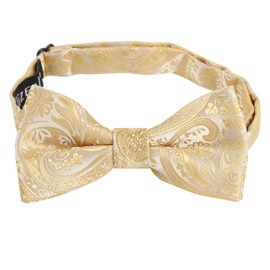 Alizeal Boys Paisley Jacquard Banded Adjustable Length Pre-tied Bow Tie, Champagne