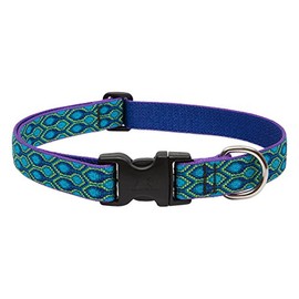 LupinePet Originals 1" Rain Song 25-31" Adjustable Collar for Extra Large Dogs