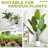 Plant Stem Supports for Indoor Plants, Durable Iron Monstera Plant