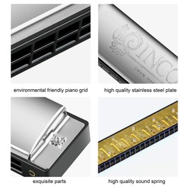 Harmonica Professional C Major Blues Harmonica Diatonic 24 Hole with Case for Blues Folk Jazz Pop for Adults Child Children Student Beginners Gift (Silver)