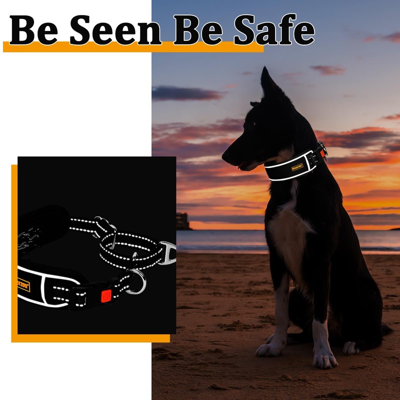 Mayerzon Martingale Dog Collar No Pull for Large Medium Dogs,