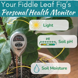 Houseplant Resource Center Fiddle Leaf Fig 3-in-1 Soil Moisture Meter for Plants – Best Indoor Plant Water Meter for Potted Houseplants - Light & Moisture Sensor Probe for Optimal Growth