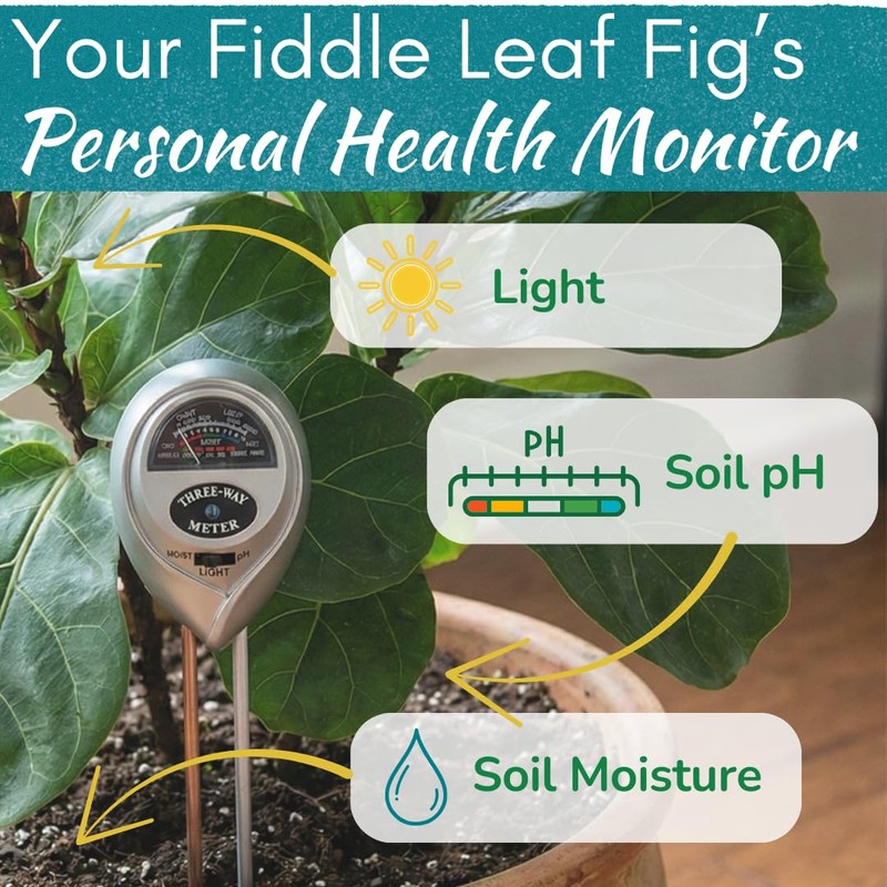 Houseplant Resource Center Fiddle Leaf Fig 3-in-1 Soil Moisture Meter