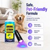 Ruidehut Powerful Stain & Odor Remover + Pet Urine Detector
