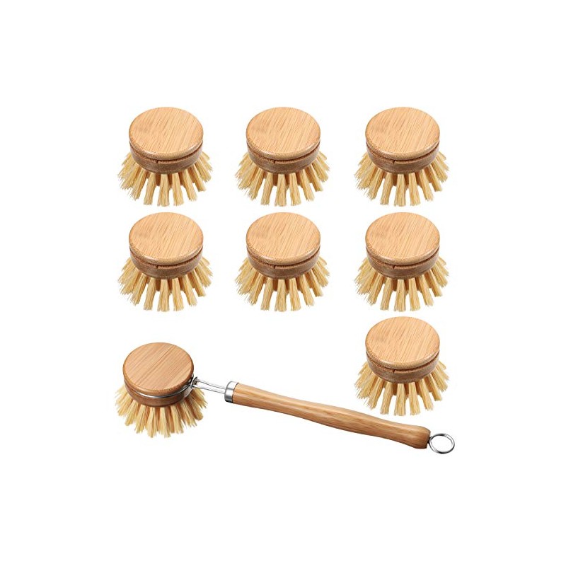 Patelai 8 Pieces Dish Brush with Wood Handle, Natural Dish