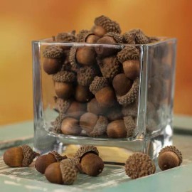Unbranded Bulk Package of 150 Extremely Realistic Artificial Acorns