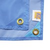 AZ FLAG Argentina Flag 5ft x 3ft with 4 Eyelets