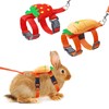 Bunny Harness and Leash for Rabbits,2 Pack Adjustable Bunny Harness,Cute
