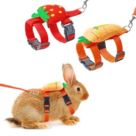 Bunny Harness and Leash for Rabbits,2 Pack Adjustable Bunny Harness,Cute Vest Harness and Leash Set, for Rabbit,Kitten, Puppy, Pig and Small Pet Animals