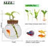 Small Betta Fish Tank Glass Fish Bowls for Betta Fish