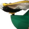 Eagles Flapping Hat - Unisex Clothes Accessory