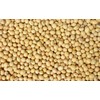 Hunza Organic Soybeans (2 lbs)