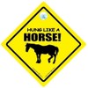 'Hanging As a Hanging Sign – Like A Horse, Car