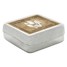 MyTinyWorld Dolls House Miniature Apothecary Shaggy Ink Cap Fungi Colour Box