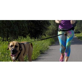 Dingo Dog Lead Made of Band Shock Absorber with 2 Carabiners Long 170 cm Black