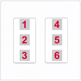 RiteAV 6 Port Custom Wall Plate, 2 Gang, Screwless White, Choose HDMI Coax 3.5mm Banana Cat5/6 Phone RCA Speaker Toslink USB