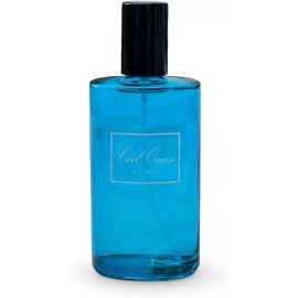 Secret Cool Ocean by Secret Plus 3.4oz Eau De Parfum Men New Sealed Box