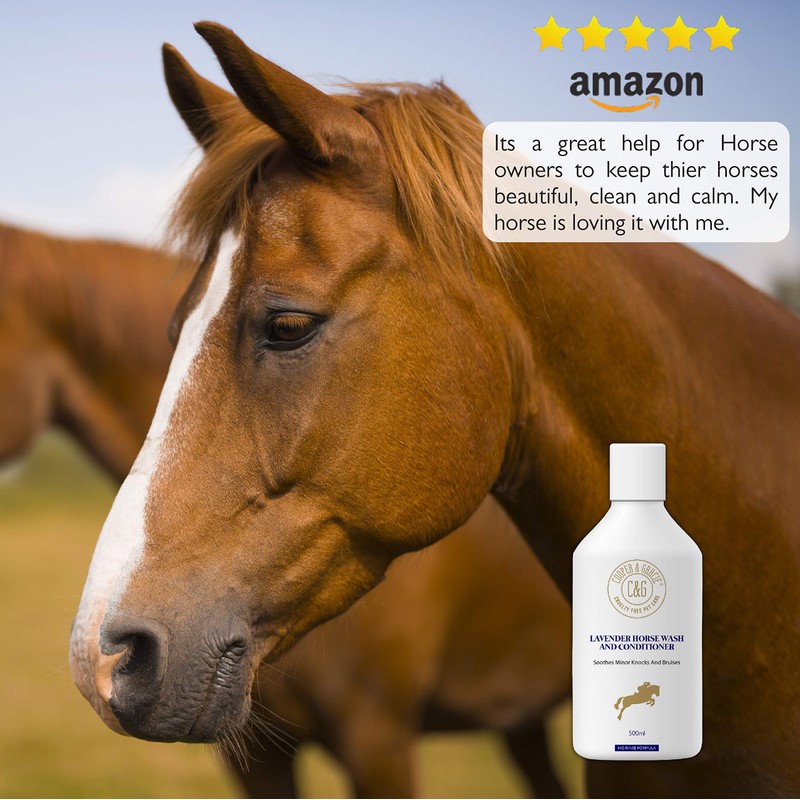 C&G Pets | Lavender Horse Wash and Conditioner | Soothes