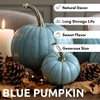 Exotic Blue Pumpkin Seeds | 20 Seeds Packet | Blue