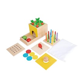 Adena Montessori 5 in 1 Wooden Montessori Play Kit Baby Toys,Object Permanence Box,Matchstick Color Drop,Cotton Swab Drop Game,Carrot Harvest and Coin Box for Kid 1 Year Old,Gift for Baby 6-12 Month
