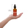 Plantlife Hazelnut Oil 2 oz - 100% Pure Cold Pressed