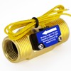 DIGITEN FS-C02 G3/4" BSP Male Thread Water Flow Switch 0-2A/