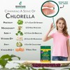 Organic Chlorella Mini Tablets, Australian | Advanced BioDynamic Cracked Cell