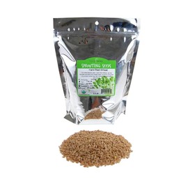 Handy Pantry Organic Wheatgrass Seeds (2.5 lbs)