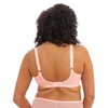 Elomi Women's Charley Stretch Lace Underwire Plunge Bra, Ballet Pink,
