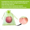 100PCS Fruit Protection Bags - Drawstring Mesh Covers for Gardens